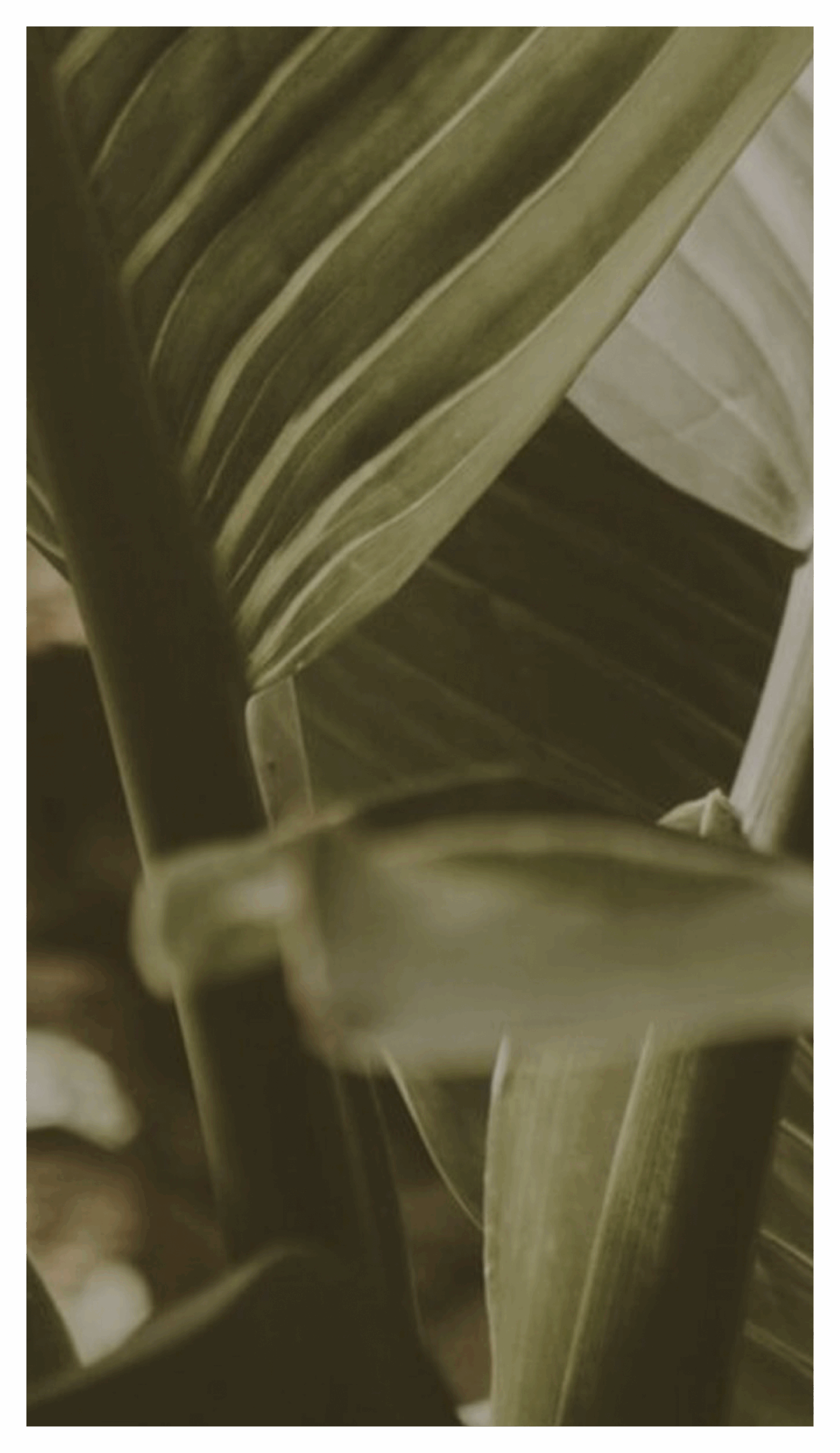 About Individual Therapy