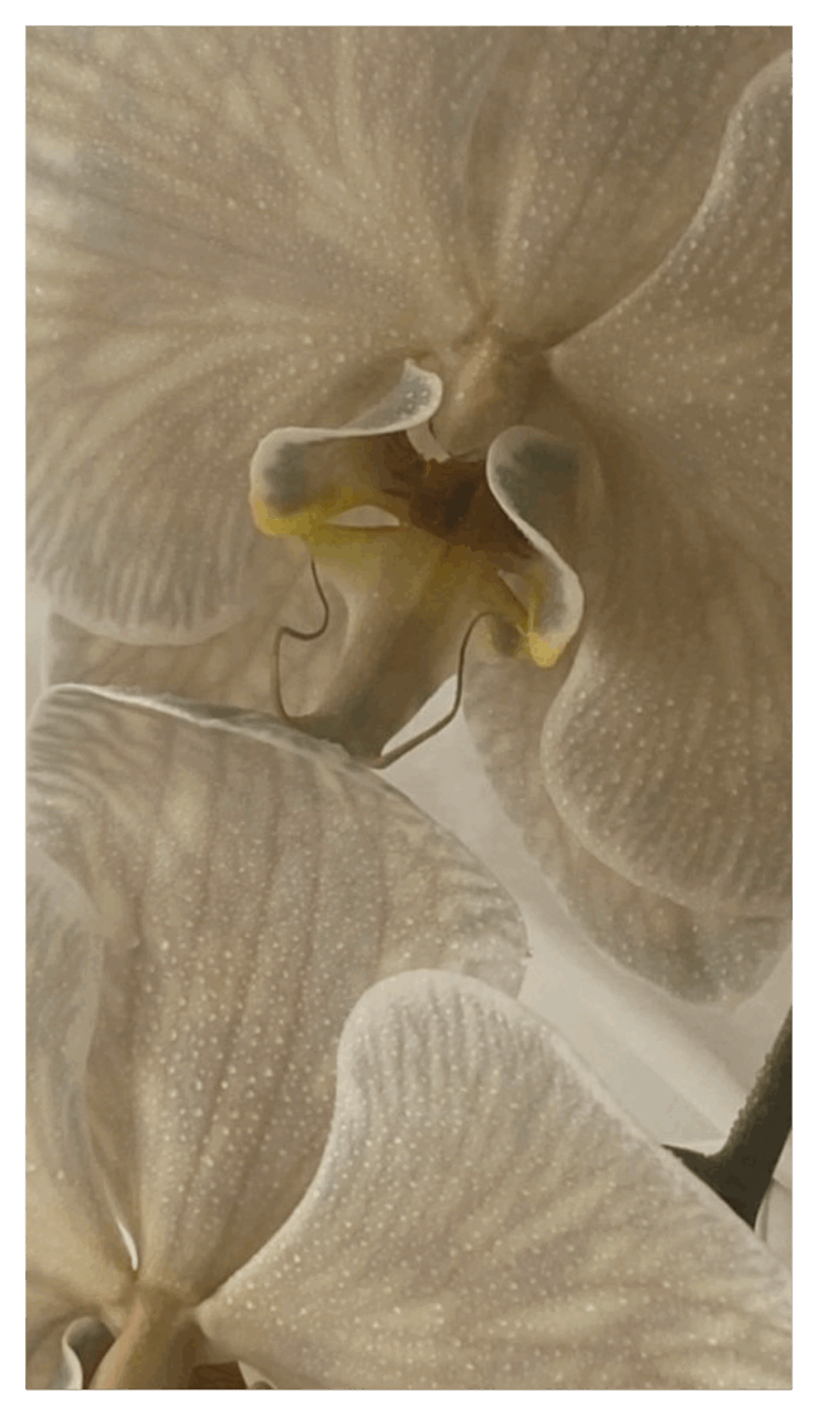 About Couples Therapy